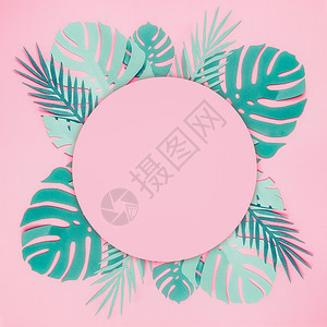 各种绿松石蓝色热带树叶与圆形圆圈,为您的淡粉色背景创造的布局图片