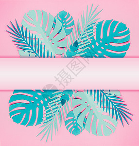 各种绿松石蓝色热带树叶与为您的淡粉色背景创造的布局图片