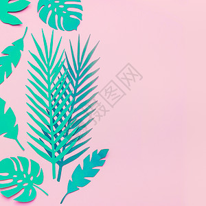 绿松石绿色热带叶粉红色背景,平躺纸热带树叶图片