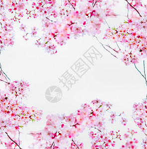 四月背景背景 四月背景摄影图片 四月背景壁纸 摄图网