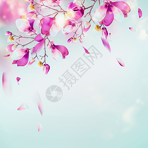花瓣飞舞背景图片-花瓣飞舞背景素材-花瓣飞舞底图-摄图网
