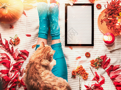 猫咖啡舒适的秋季情绪,女腿袜子腿,姜猫空白字母板白色毯子背景与南瓜,罗旺落叶树枝的风景Insta风格背景