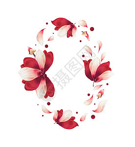 美丽的红花花瓣圆圈框架,孤立白色背景上创造的花卉布局飞花红色的花圈图片