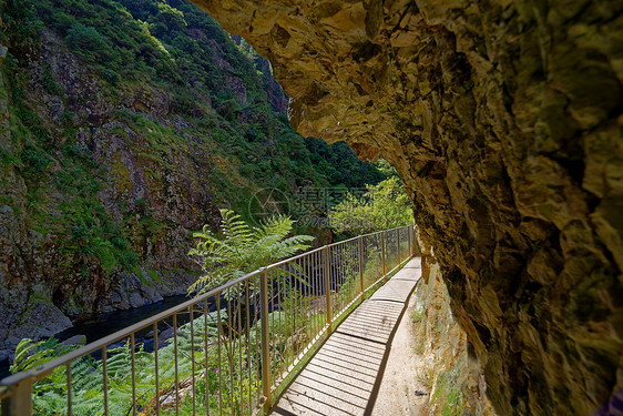 步行小径穿过卡兰加哈克峡谷,怀卡托图片