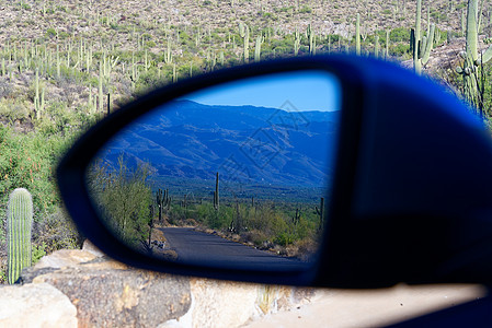 汽车翼镜上看的萨瓜罗仙人掌的镜像图片