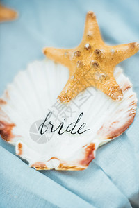海星贝壳婚礼装饰图片
