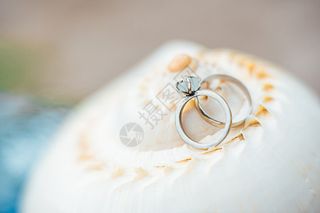 海壳上的金色结婚戒指图片