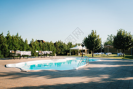 花园里的蓝色室外游泳池被针叶树包围着背景图片