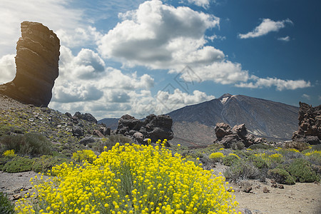 泰德公园著名的神岩手指特纳里夫岛加那利,西牙图片