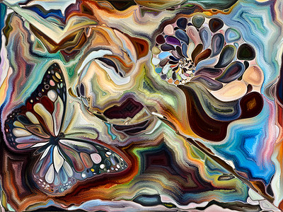 内部纹理系列以艺术自然创造力为的贝壳蝴蝶数字水彩的安排图片