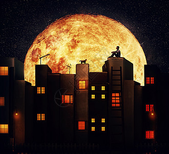 男孩只猫坐个神奇城市的屋顶上,房子用书的故事夜景与个巨大的满月个幻想的城镇图片