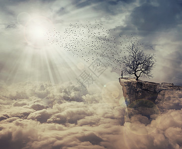 轻人站云层上的悬崖上,看着群鸟棵奇怪的光秃秃的树上飞来死亡之树象征旅程发现图片