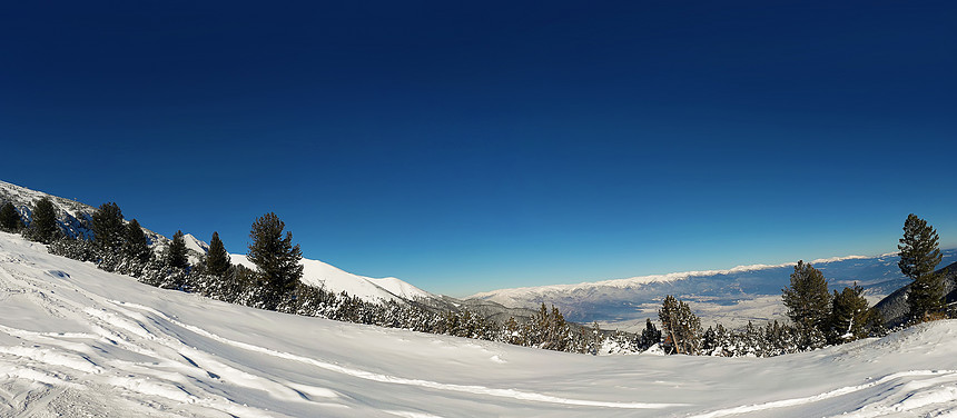 雪山景观全景保加利亚滑雪胜地斯科,晴朗的蓝天冷杉森林图片