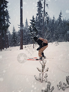 滑雪者雪天滑雪下坡,高山的冷杉森林树木快速自由的冬季运动图片