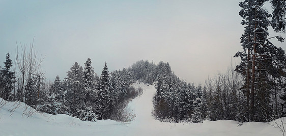 山中冷杉林的滑雪坡美丽的自然全景多云的天空图片