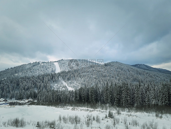 冬季景观与冷杉树雪中的山美丽的风景野外,喀尔巴阡山,乌克兰图片