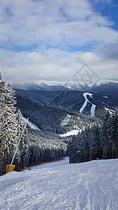 美丽的风景,喀尔巴阡山脉与冷杉森林背景个寒冷雪的冬天旅行,旅游,徒步旅行徒步旅行的乌克兰布科维尔图片