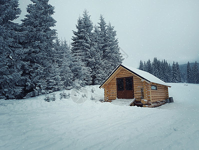 降雪后冷杉林的乡村木屋山区的传统高山小屋图片