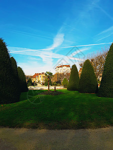 美丽的树木花园广场杜马雷查尔乔弗尔阿尼雷斯苏西恩,巴黎郊区法国寒冷阳光明媚的冬天早晨,蓝天图片