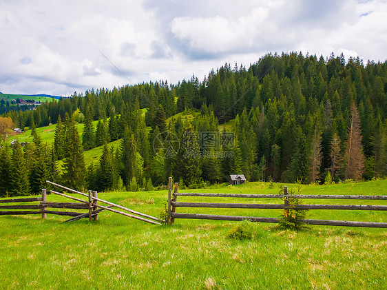 风景如画的春山景象与木制的分裂铁路围栏跨越个绿色郁郁葱葱的牧场,山谷上所老房子,周围针叶林图片