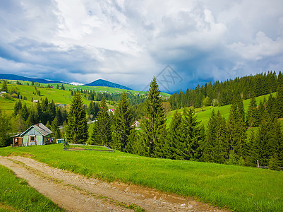 风景秀丽的道路,通往乌克兰喀尔巴阡山上个古老的木制小屋村庄阳光明媚的春天,绿色的草,开花的草地常绿的森林图片