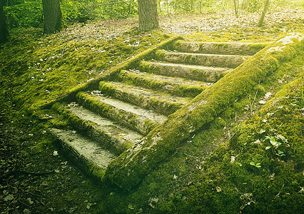 古老的石阶树林里被绿色的苔藓覆盖着神秘的童话场景与个古老的楼梯图片