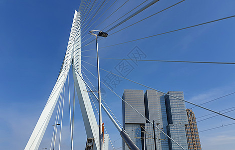 伊拉斯谟桥天鹅超过缪斯河鹿特丹,荷兰蓝天背景下的抽象建筑细节图片