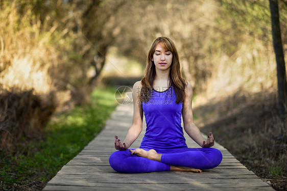 轻的女人大自然中瑜伽女穿着运动服莲花的身影木路上的女孩图片