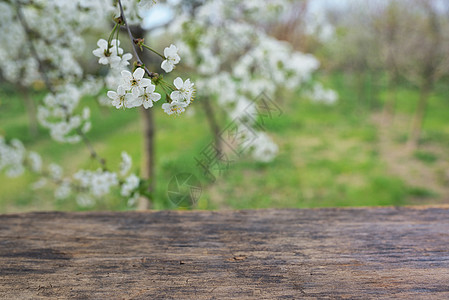 春季空木甲板桌子空木甲板桌子图片