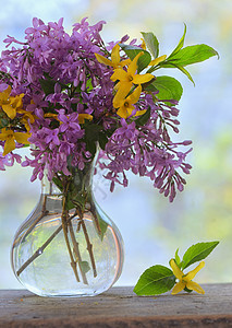 木桌上的春天丁香花木桌上的丁香花图片