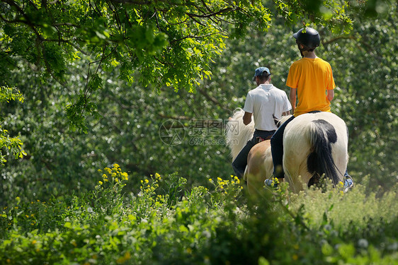 森林里的骑马教练十几岁的男孩骑马教练十几岁的男孩图片