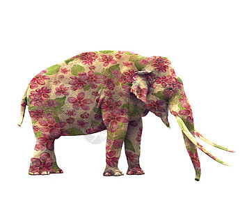 大象白色背景上隔离的花花的大象图片