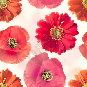 红花的无缝图案图片