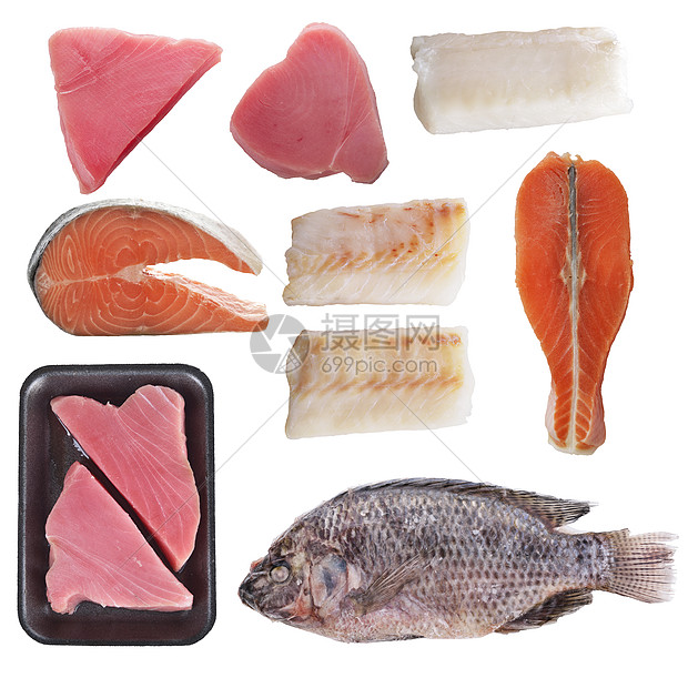白色背景上分离的各种鱼类的品种图片