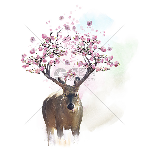 鹿的肖像角上开花的树枝水彩画鹿肖像与开花枝条水彩