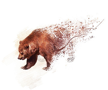 步行熊的数字绘画熊肖像水彩画背景图片
