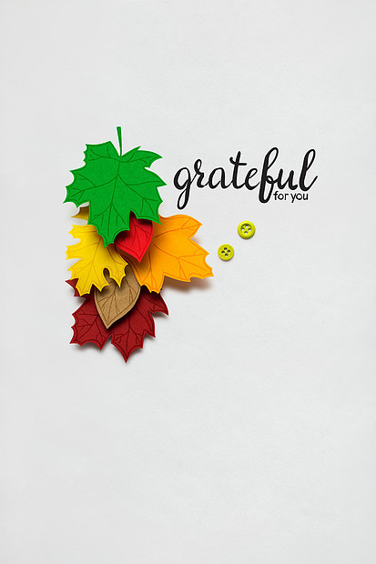 创意感恩节照片的叶子制成的纸张白色背景图片