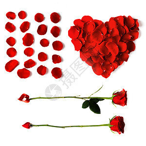 心形花瓣心形花瓣,箭头玫瑰红色的花瓣隔离白色的背景上图片