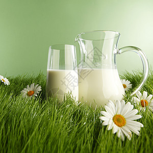 杯牛奶罐子新鲜的草甸上洋甘菊图片