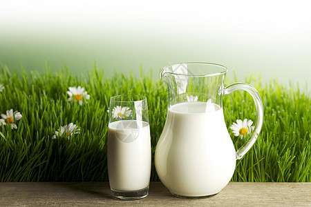 瓶子里的牛奶花草地上的璃牛奶罐子璃新鲜的草甸与洋甘菊图片