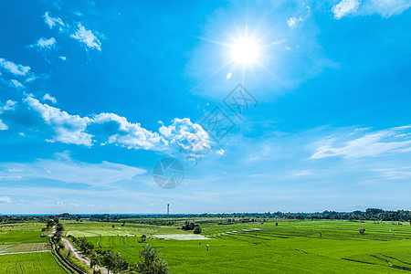 梯田稻田美丽的乡村景观,蓝天下梯田稻田图片