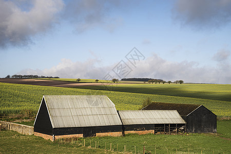 清晨美丽的农业英语乡村景观图片