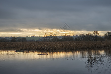 美丽的冬季日落湿地湖景观图片