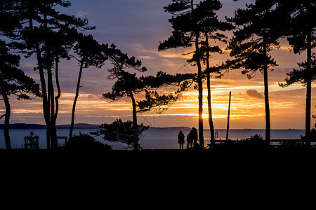 71023060惊人的日落轮廓的树木海洋背景图片