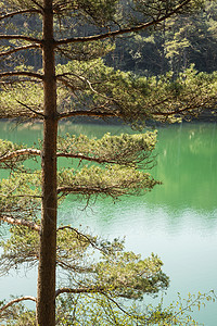 美丽的景观形象,旧粘土坑采石场湖与寻常的彩色绿色水图片