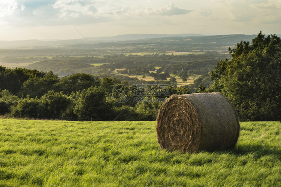 美丽的夏季日落乡村的田野景观与干草捆图片