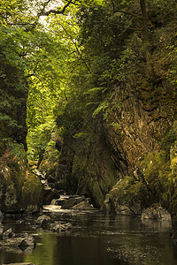 美丽的缥缈景观,深邃的峡谷,岩壁溪流流过郁郁葱葱的绿色植物背景图片