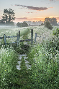 令人惊叹的充满活力的夏季日出英国乡村景观上图片