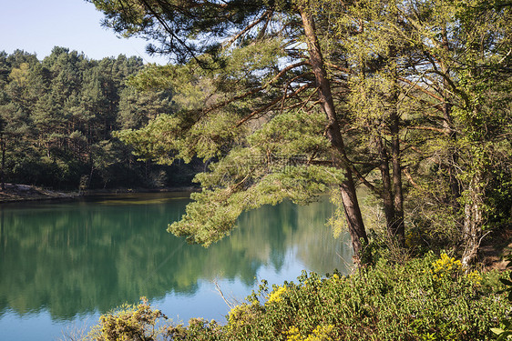 美丽的景观形象,旧粘土坑采石场湖与寻常的彩色绿色水图片