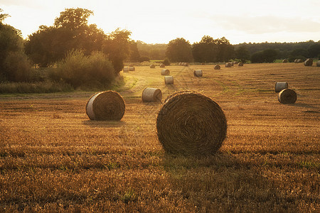 美丽的景观图像干草捆夏季田野五颜六色的日落图片